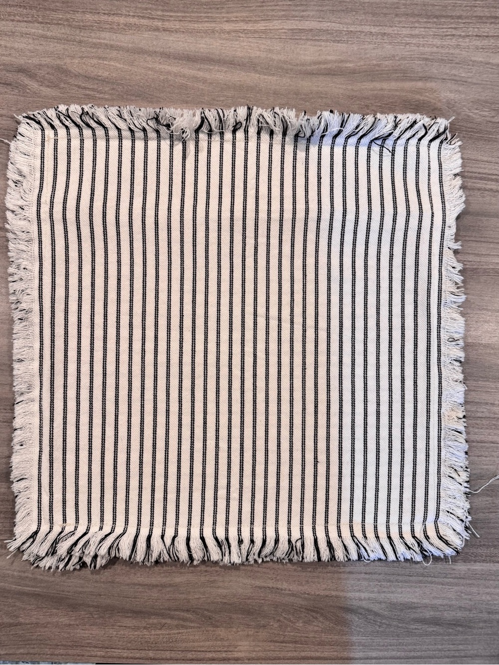 Set of 2 Striped Fringe Cotton black and cream ticking pillow for 20” insert
